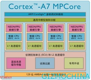 processor a31