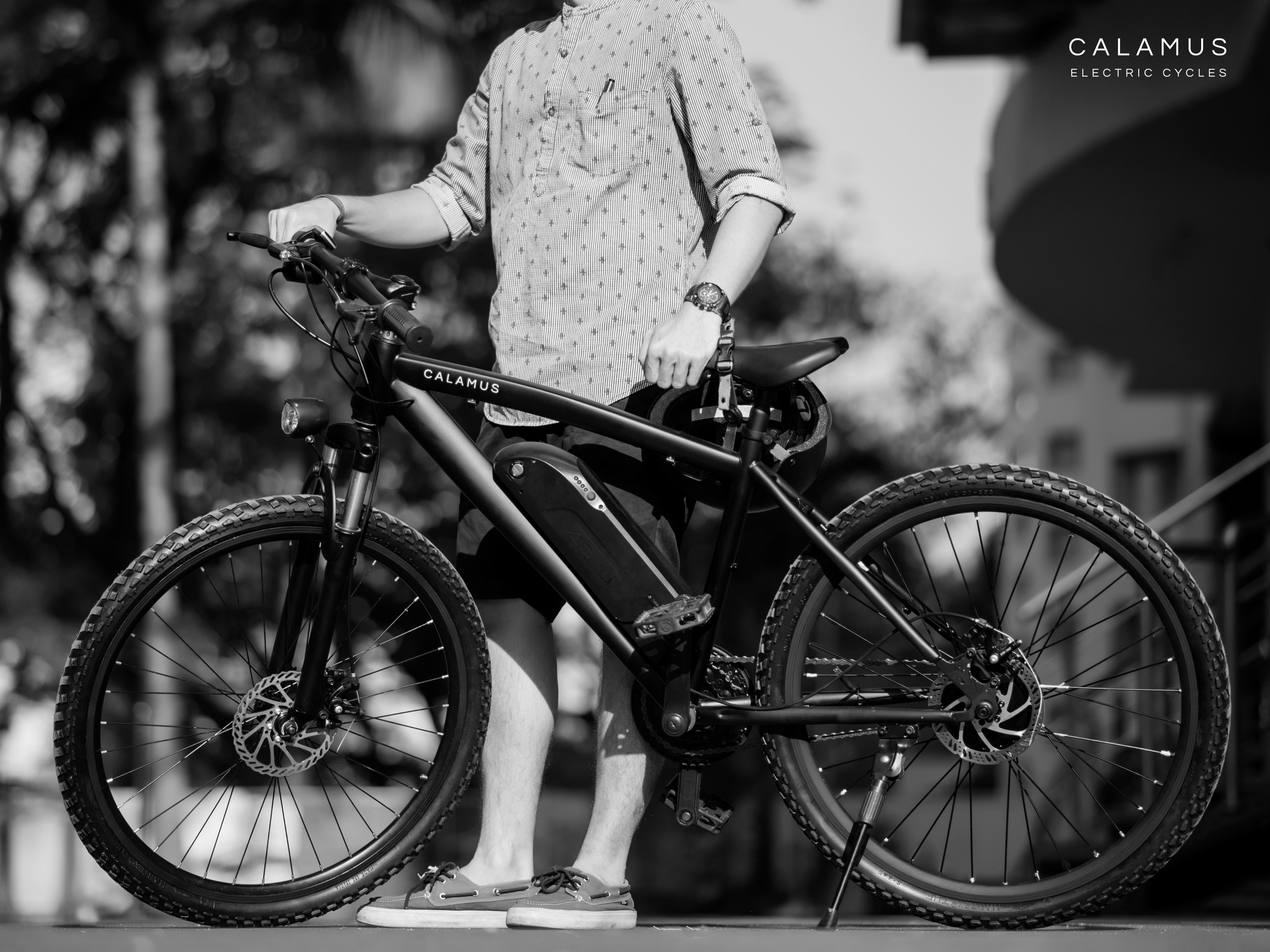 eBikes the future leader of Electric Vehicles in the next decade