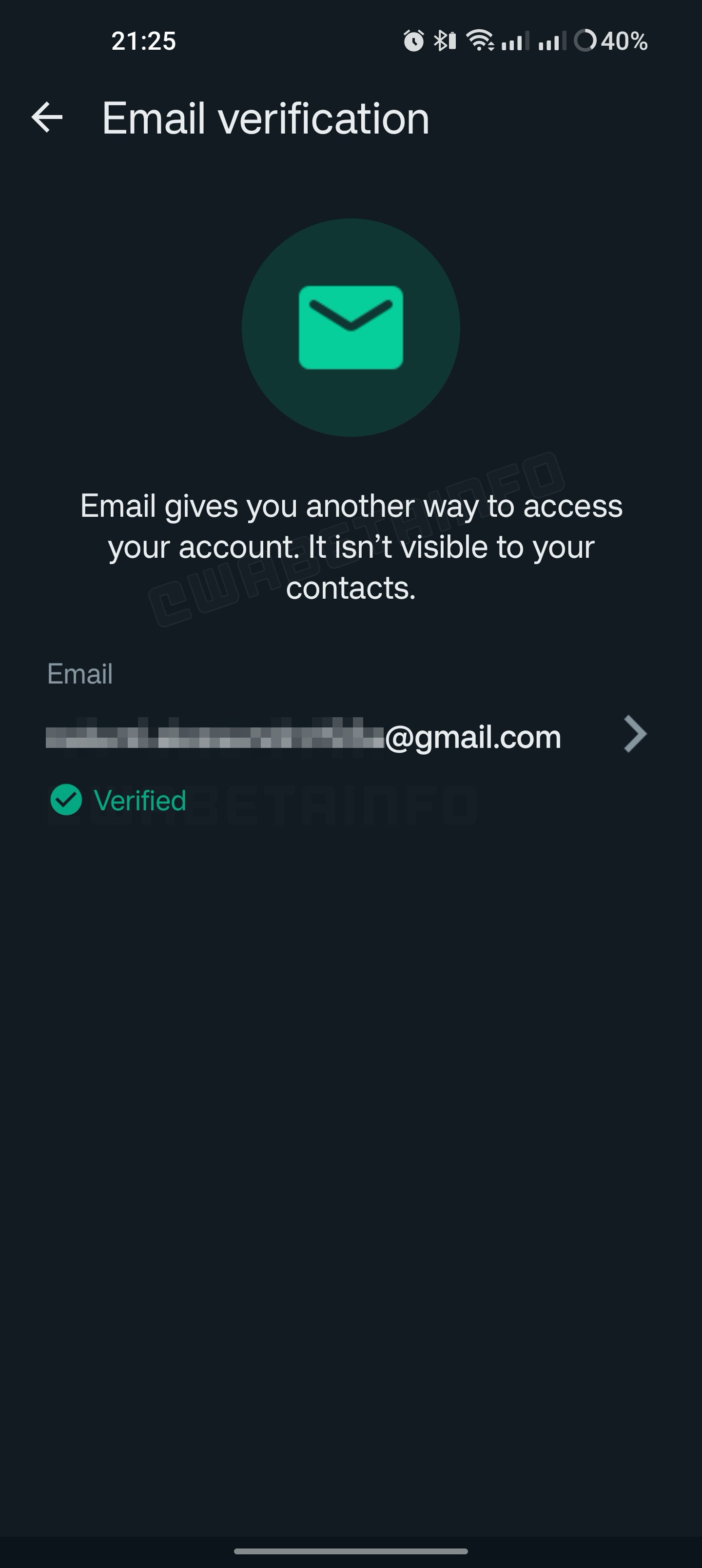 Steam can verify email фото 28