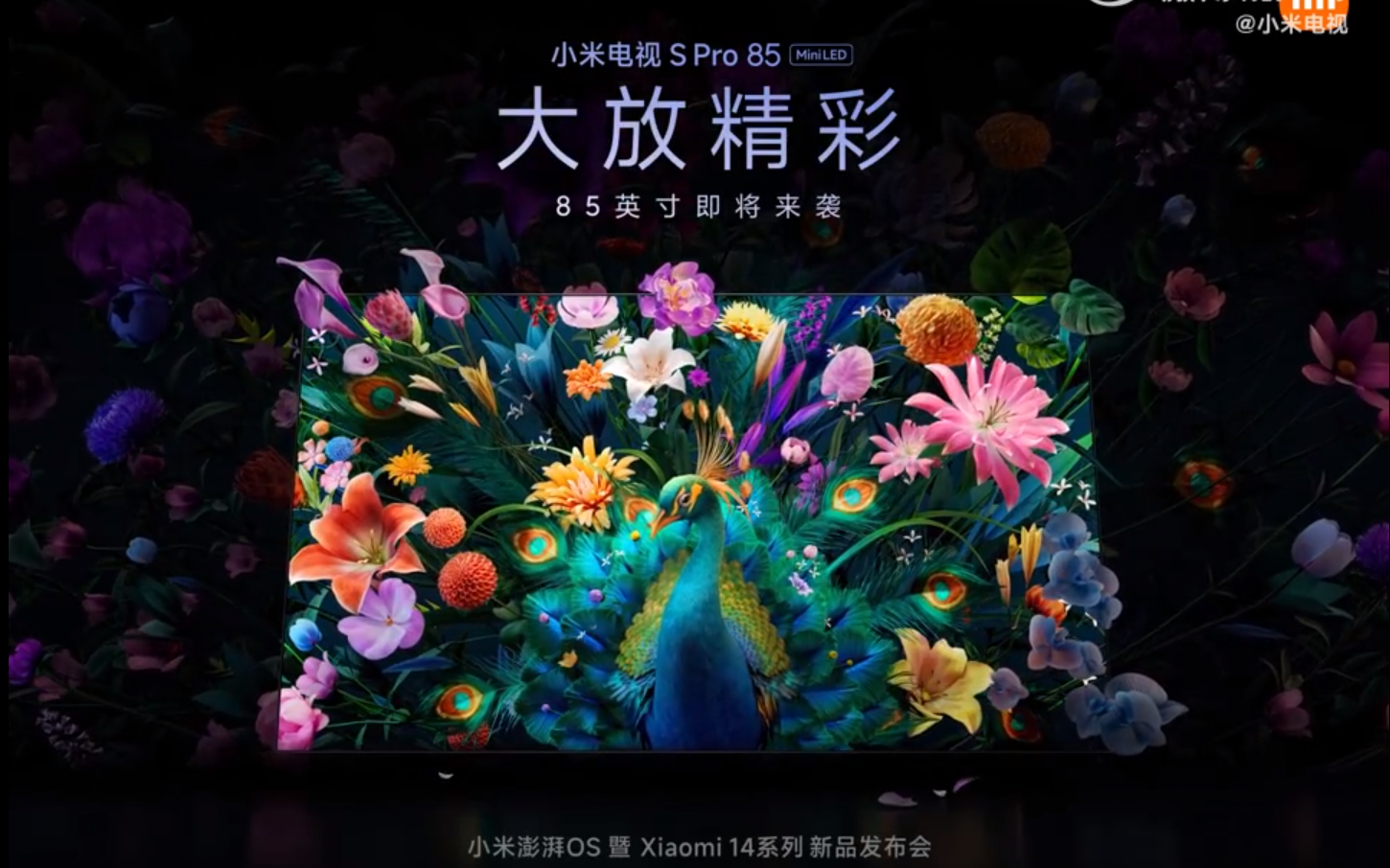 Xiaomi launches 65-inch and 75-inch versions of the TV S Pro in China