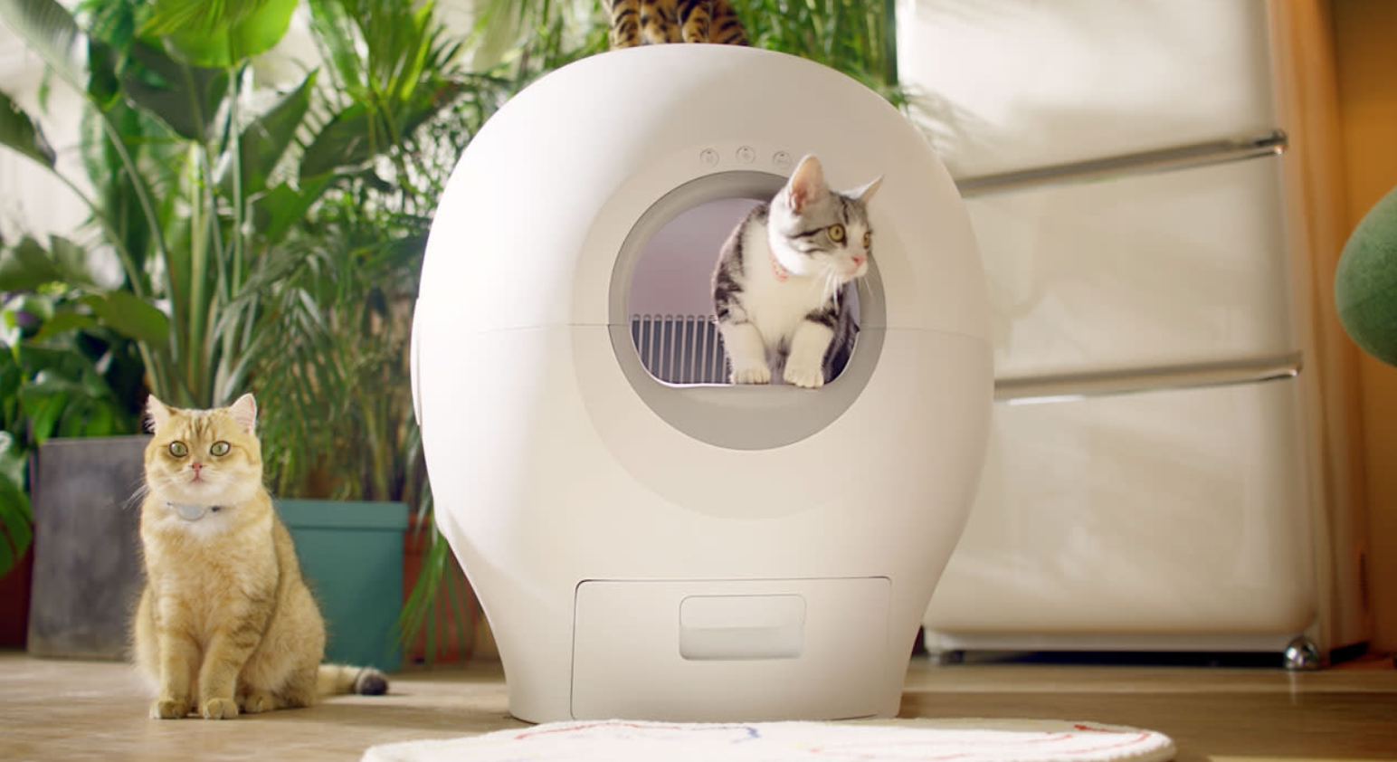 Introducing PETGUGU: World's First Smart Cat Flush Toilet - Gizmochina