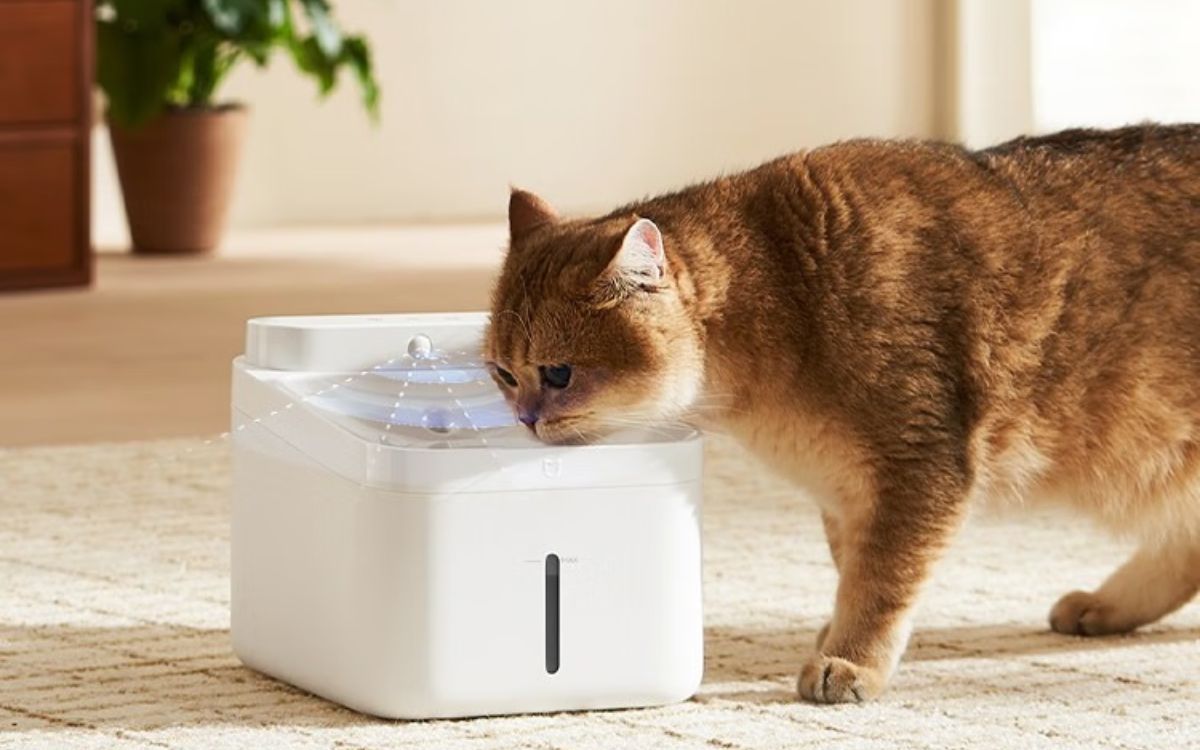 Xiaomi Launches New Affordable Pet Water Dispenser: 100-day Battery 